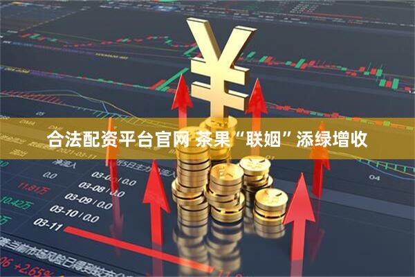 合法配资平台官网 茶果“联姻”添绿增收