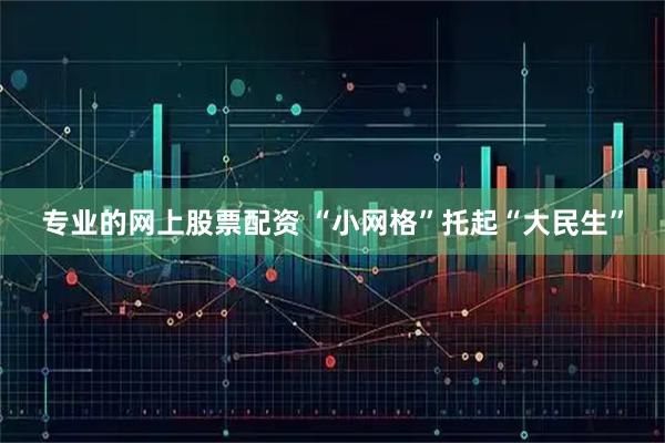 专业的网上股票配资 “小网格”托起“大民生”