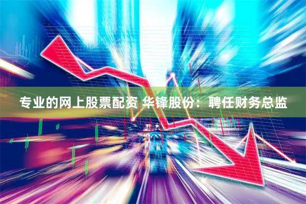 专业的网上股票配资 华锋股份：聘任财务总监