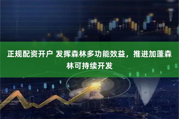 正规配资开户 发挥森林多功能效益，推进加蓬森林可持续开发