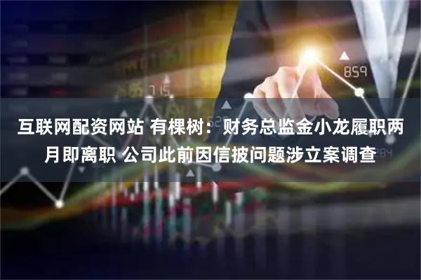 互联网配资网站 有棵树:财务总监金小龙履职两月即离职 公司此前因信披问题涉立案调查