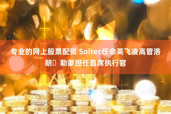 专业的网上股票配资 Soitec任命英飞凌高管洛朗・勒蒙担任首席执行官